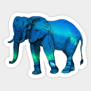 Aurora Borealis Elephant Silhouette Sticker